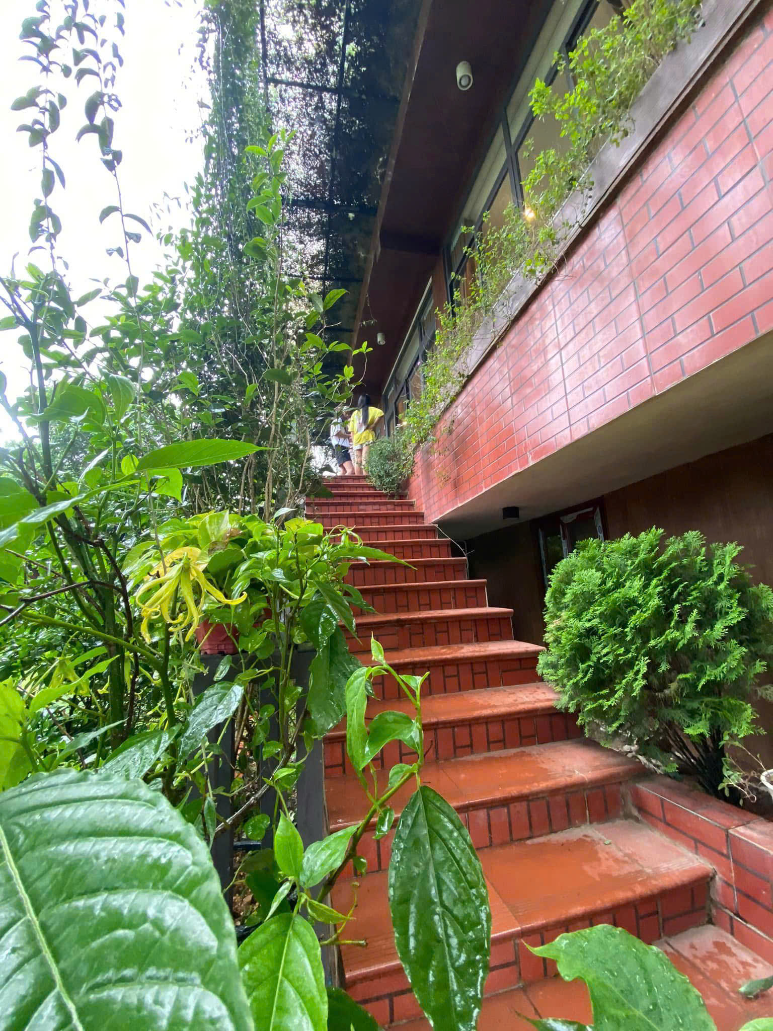 z6225339675654_228daa789150d09b4479e04e8538b4b2